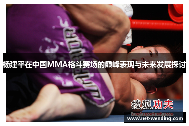 杨建平在中国MMA格斗赛场的巅峰表现与未来发展探讨