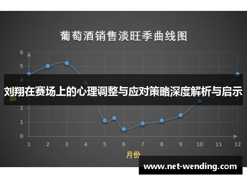 刘翔在赛场上的心理调整与应对策略深度解析与启示