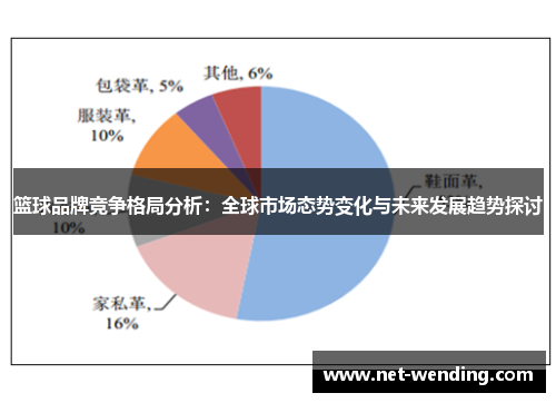 篮球品牌竞争格局分析：全球市场态势变化与未来发展趋势探讨