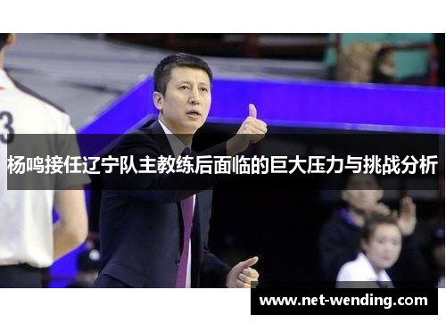 杨鸣接任辽宁队主教练后面临的巨大压力与挑战分析