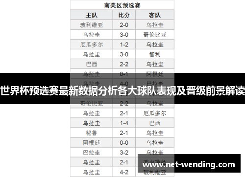 世界杯预选赛最新数据分析各大球队表现及晋级前景解读