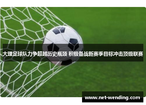 大理足球队力争超越历史瓶颈 积极备战新赛季目标冲击顶级联赛