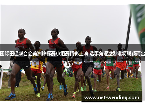 国际田径联合会美洲锦标赛小组赛精彩上演 选手角逐激烈谁将脱颖而出 国际田径联合会美洲锦标赛小组赛精彩上演 选手角逐激烈谁将脱颖而出