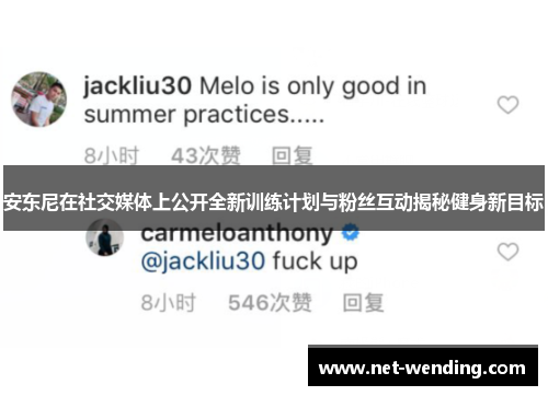 安东尼在社交媒体上公开全新训练计划与粉丝互动揭秘健身新目标 安东尼在社交媒体上公开全新训练计划与粉丝互动揭秘健身新目标