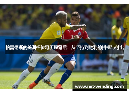 帕雷德斯的美洲杯传奇历程背后:从坚持到胜利的拼搏与付出 帕雷德斯的美洲杯传奇历程背后:从坚持到胜利的拼搏与付出