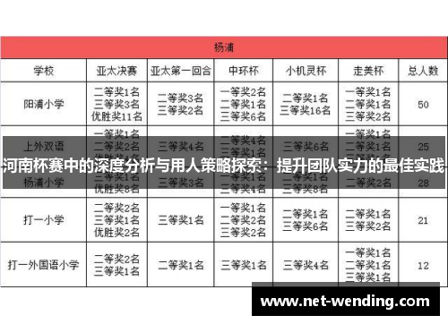 河南杯赛中的深度分析与用人策略探索：提升团队实力的最佳实践
