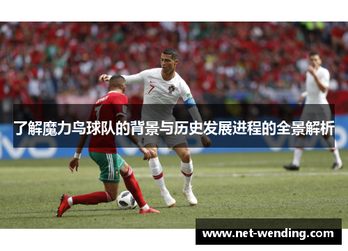 了解魔力鸟球队的背景与历史发展进程的全景解析 了解魔力鸟球队的背景与历史发展进程的全景解析