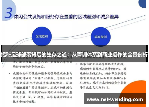 揭秘足球部落背后的生存之道:从青训体系到商业运作的全景剖析 揭秘足球部落背后的生存之道:从青训体系到商业运作的全景剖析