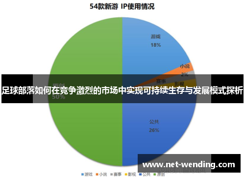 足球部落如何在竞争激烈的市场中实现可持续生存与发展模式探析 足球部落如何在竞争激烈的市场中实现可持续生存与发展模式探析