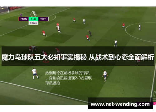 魔力鸟球队五大必知事实揭秘 从战术到心态全面解析 魔力鸟球队五大必知事实揭秘 从战术到心态全面解析