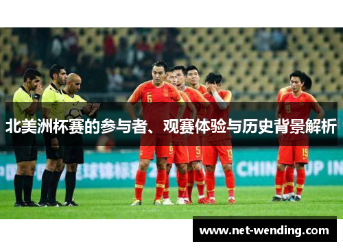 北美洲杯赛的参与者、观赛体验与历史背景解析