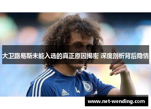 大卫路易斯未能入选的真正原因揭密 深度剖析背后隐情